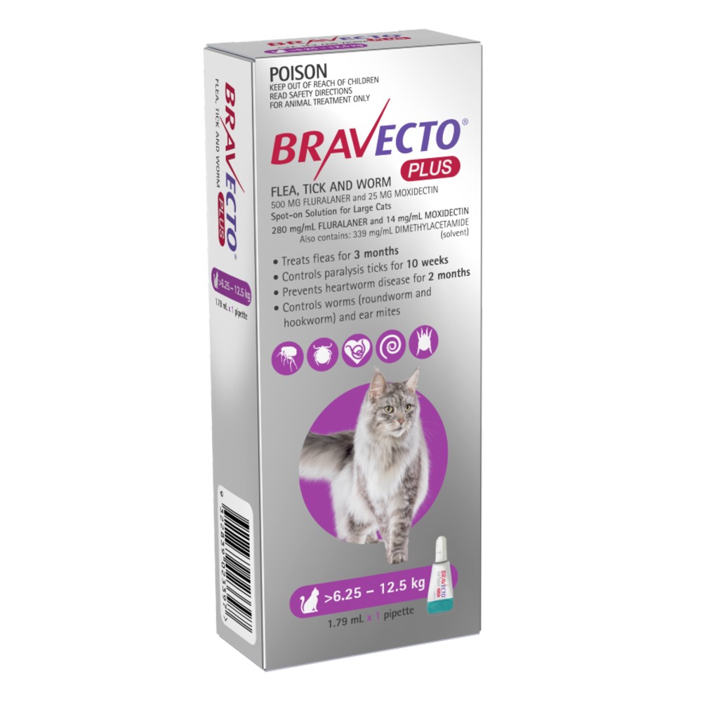 bravecto-cat-plus-625-to-125kg